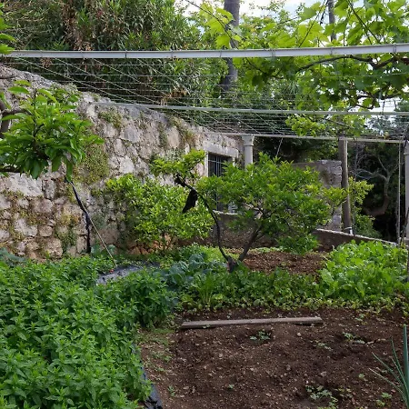 Charming Island Garden,70m From Sandy And Restaurant, Free Wi-fi Villa Donje Celo