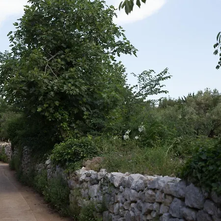 Charming Island Garden,70m From Sandy And Restaurant, Free Wi-fi Donje Celo
